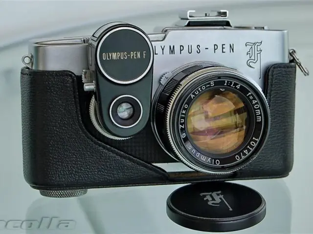 Inquiring about Deepfake Oversight Under EU AI Act