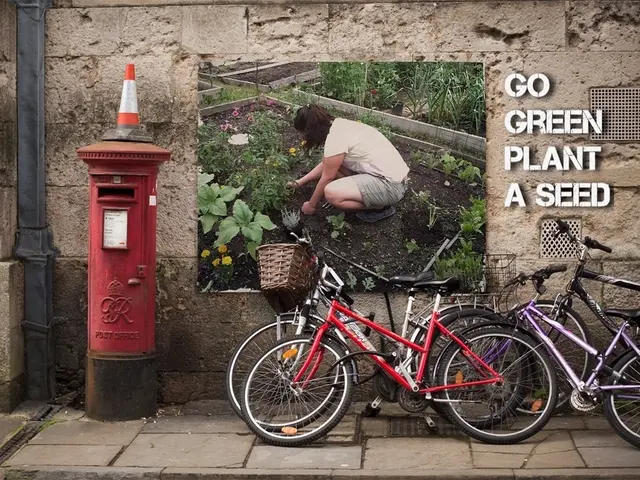 Strava Premium trial revealed a standout feature worth double payment for me