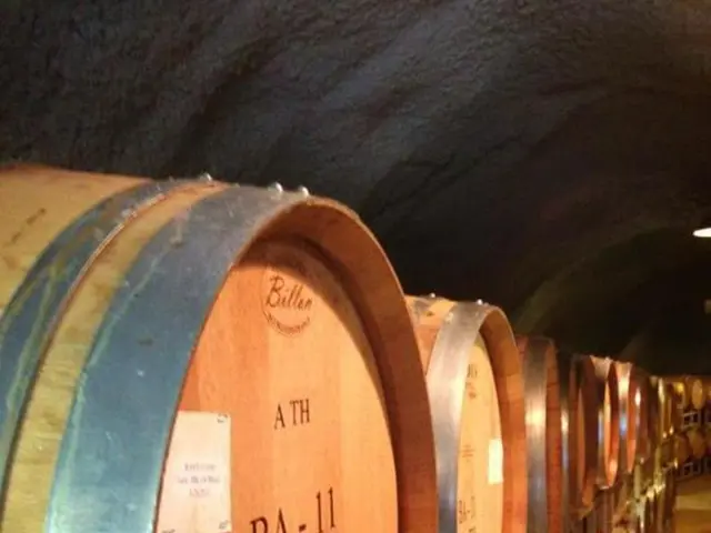 Security update from Curl CVE raises concerns among the security community, with the official patch...