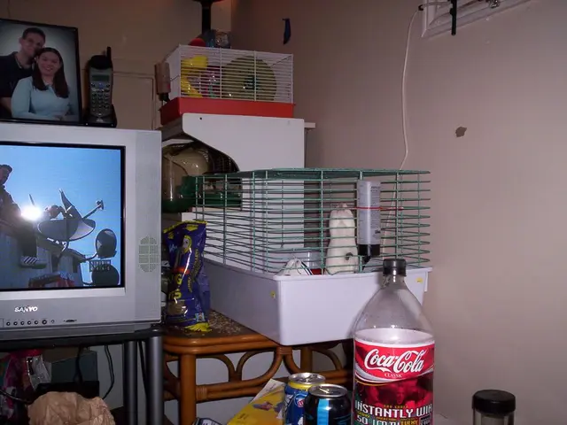 Revamping TV Experiences: IPTV Gains Traction in French-speaking Regions