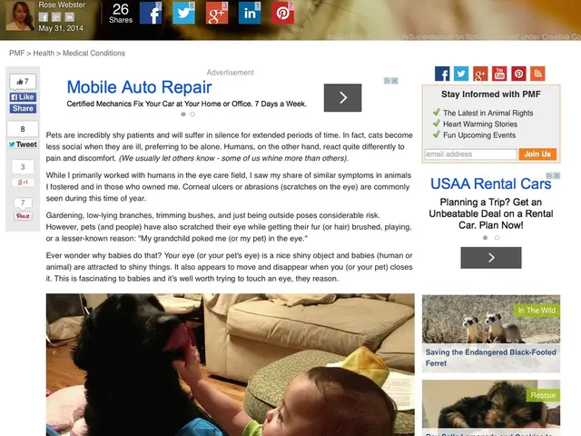 Online User Data Privacy: Legal Guidelines for Web Designers and Programmers