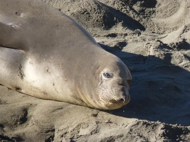 Obtaining and Applying the EPREL and Electronic Seal: A Step-by-Step Guide