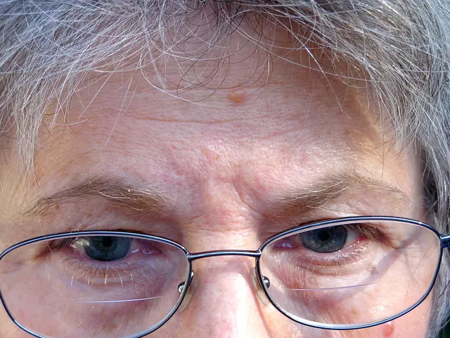 Intruder Displays Explicit Pornographic Image during MTA Board Meeting