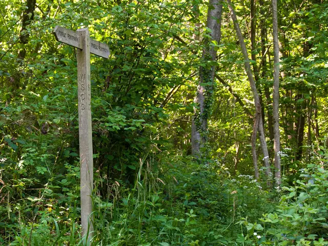 Exploring the Hypothetical Scenario: Could ChatGPT Be a Virtual Tour Guide from an Alien Realm...