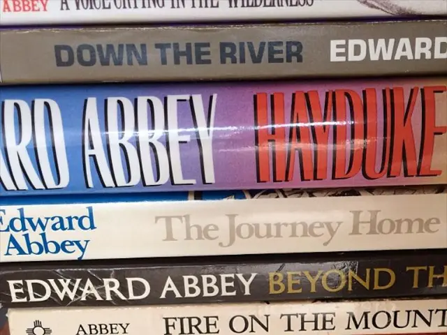 La New York Times byl se introduction de la liste de best-sellers en ebooks pour l'année 2011