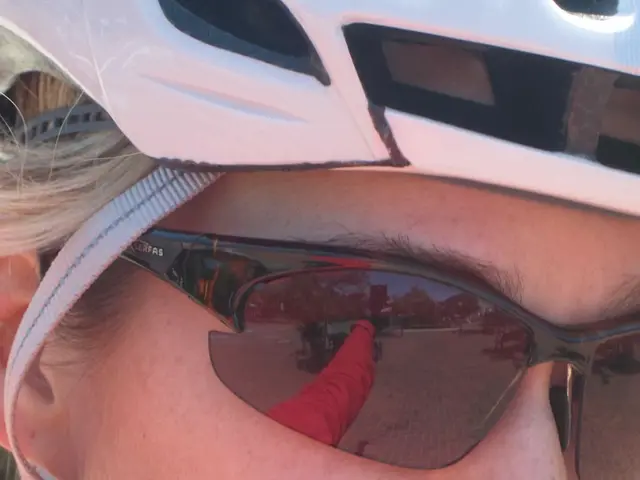 Exploring Patterns in Eye-Movement Data Using a Visual Attentional Model - A Cultural Heritage...