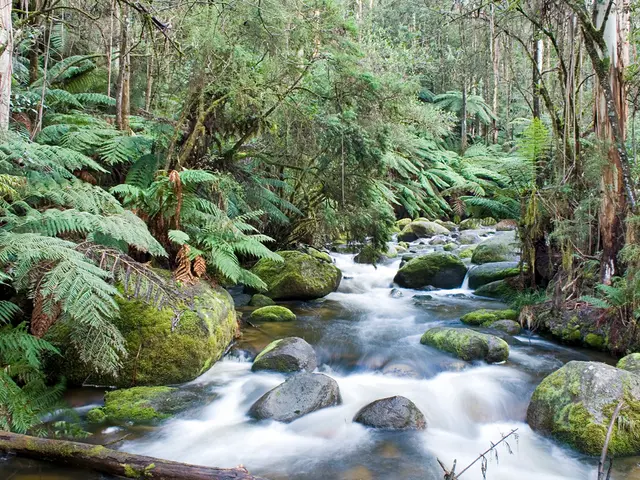 Forest River's Owned Businesses: Insight into Its Subsidiaries and Brands Affiliations