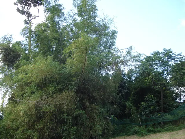 Guide on Installing .NET 8.0 on Ubuntu Version 24.04