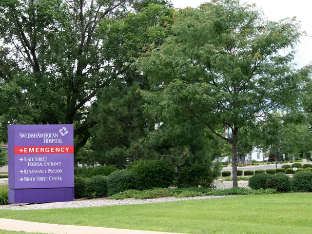 Research underscores the role of optimistic expectations in investment strategies focused on social...