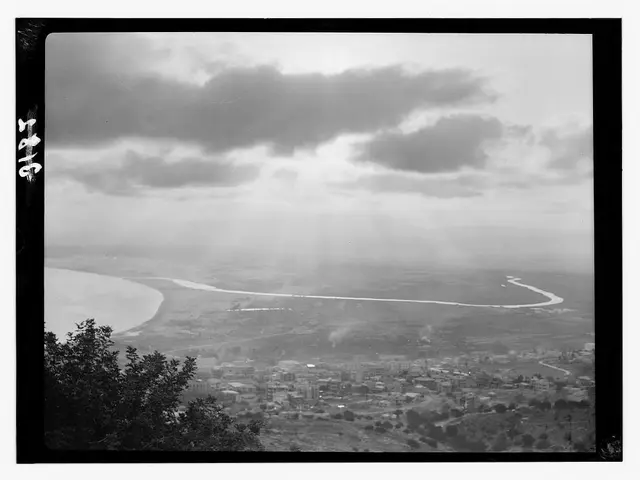 "Transforming Pictures into Monochrome: A Step-by-Step Guide"