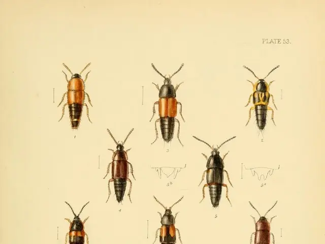 HASEPOST seeks an individual for a testing role in their latest online venture