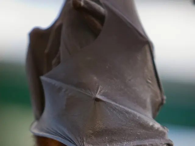 Rechargeable Headlamp Evaluation: Luminosity and Adaptability Assessment