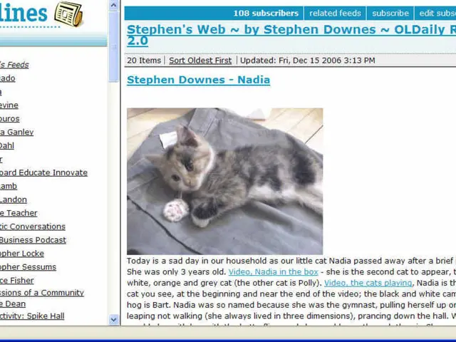 Enhancing SEO through Content Curation: Strategies Explained