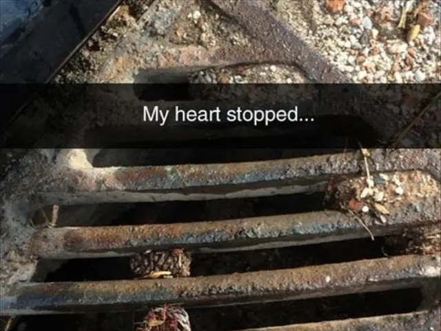 Shiba Inu NFT Retrieval Deadline Pushed Back to September 23