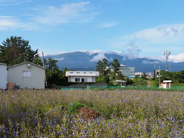 Exploring the Practical Applications of Solar-Powered Meshtastic Technology