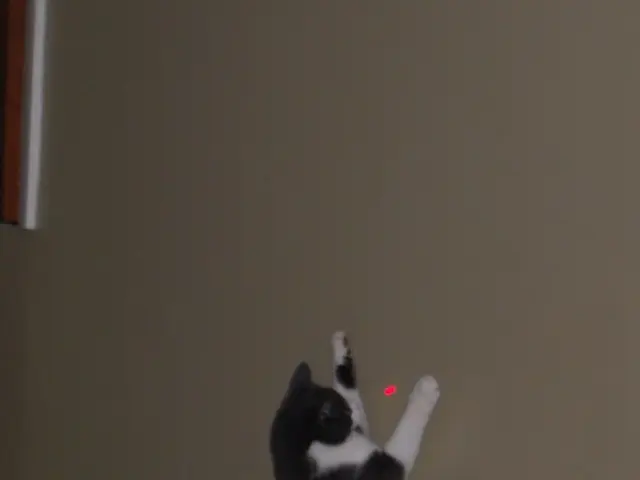 Laser technology unveiled by Sidel for enhancing food and drinks packaging