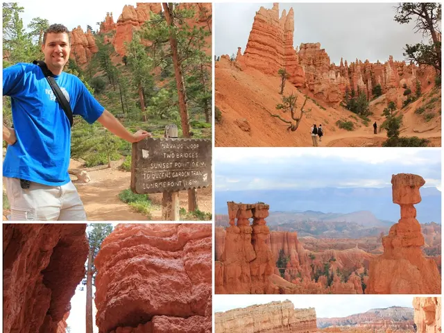 European authorities kick off a new campaign to foster the utilization of the web.