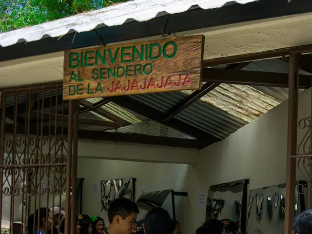 Wix introduces Wix Functions for boosting personalized business customization