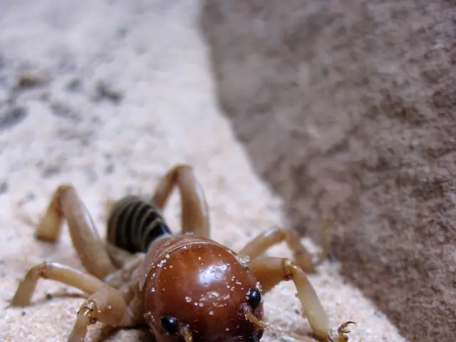 Thousands of websites are at risk due to a vulnerability in HubSpot's Jinjava Engine, making them...