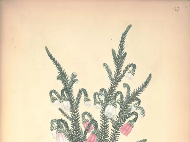 Excitement surges in Kendall Square as Biogen makes history with its groundbreaking discoveries