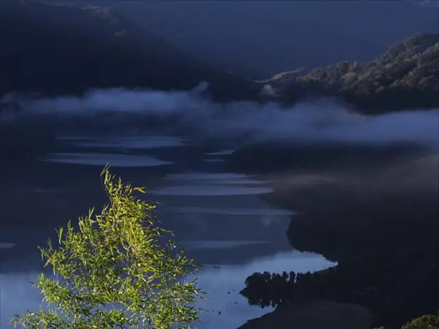 China's Green Evolution: Sustainable Growth of the Economy