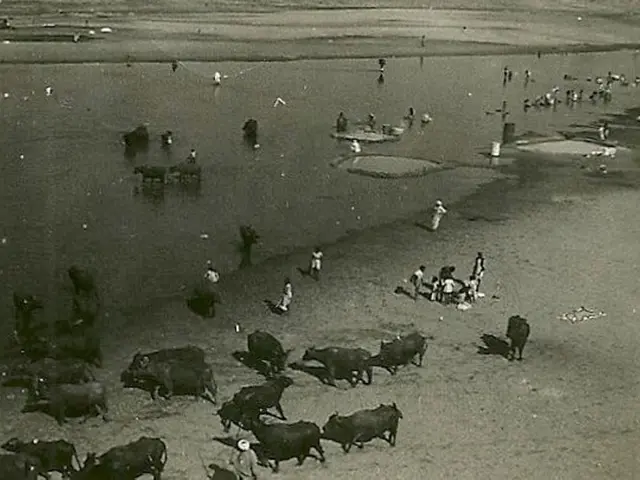 Artificial Intelligence Research Initiative: Commencement at the University of Siegen