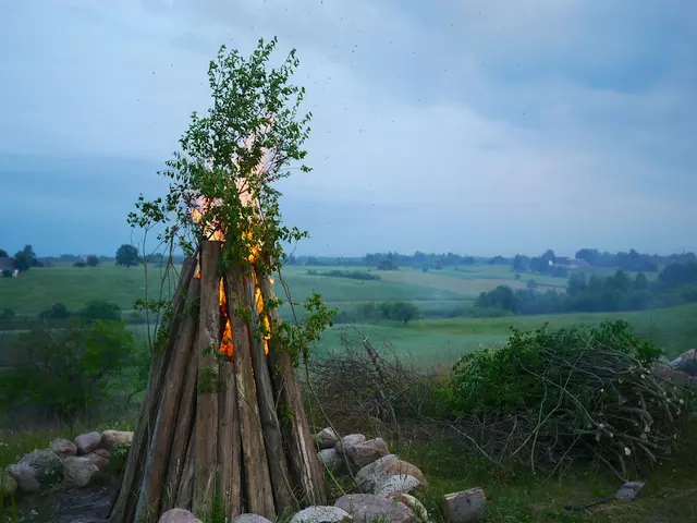 In this image I can see few wooden logs and I can see the fire on it, background I can see the...