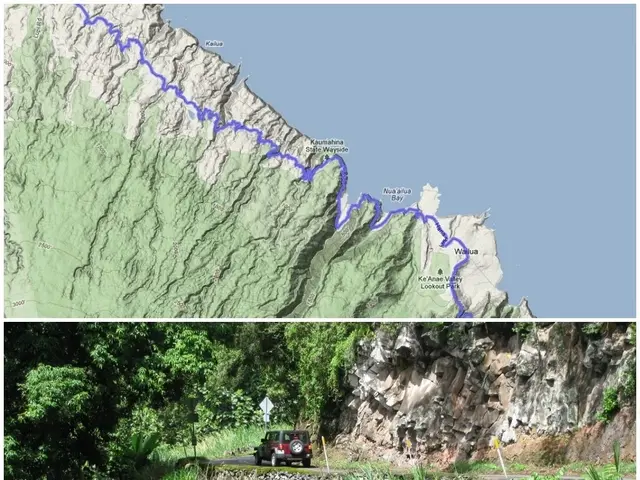 This is collage image in this image there is car on road and there are trees in another image there...