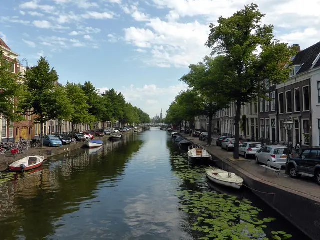 In this picture there are boats on the water in the image and there are buildings, cars, and trees...