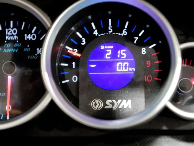 In this picture there is speedometer in the image