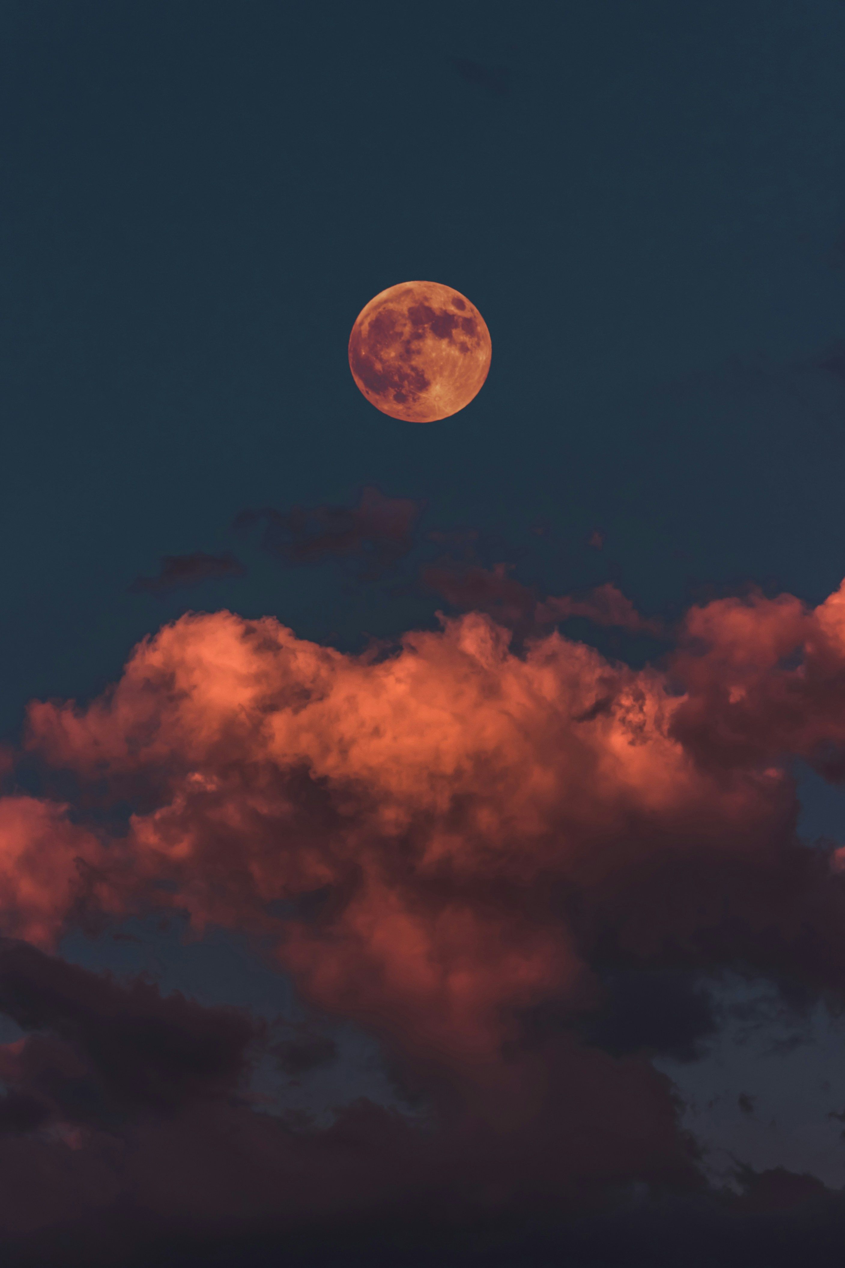 Man exploits personal data for financial gain, victimizing thousands in massive privacy breach scandal Zora token's price dip and negative sentiment following the airdrop suggest a temporary trend. Could the Content Coin momentum be slowing down?