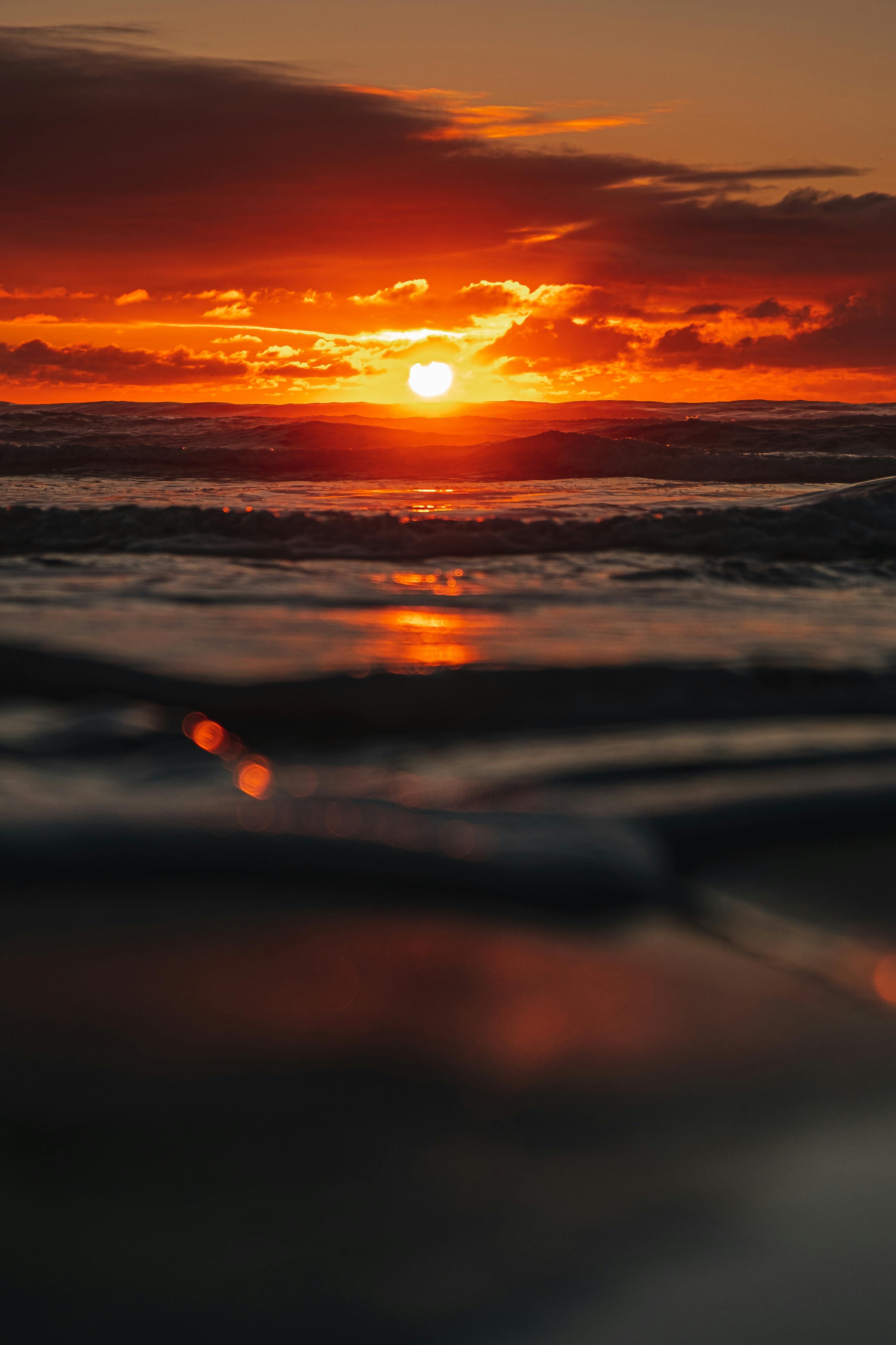 cryptocurrency XRP aims at reaching $9.75 by 2025, but financial analysts point out that MAGACOIN FINANCE and SEI (SEI) could possibly generate a higher return on investment. Here's why these digital tokens are quickly increasing in popularity.